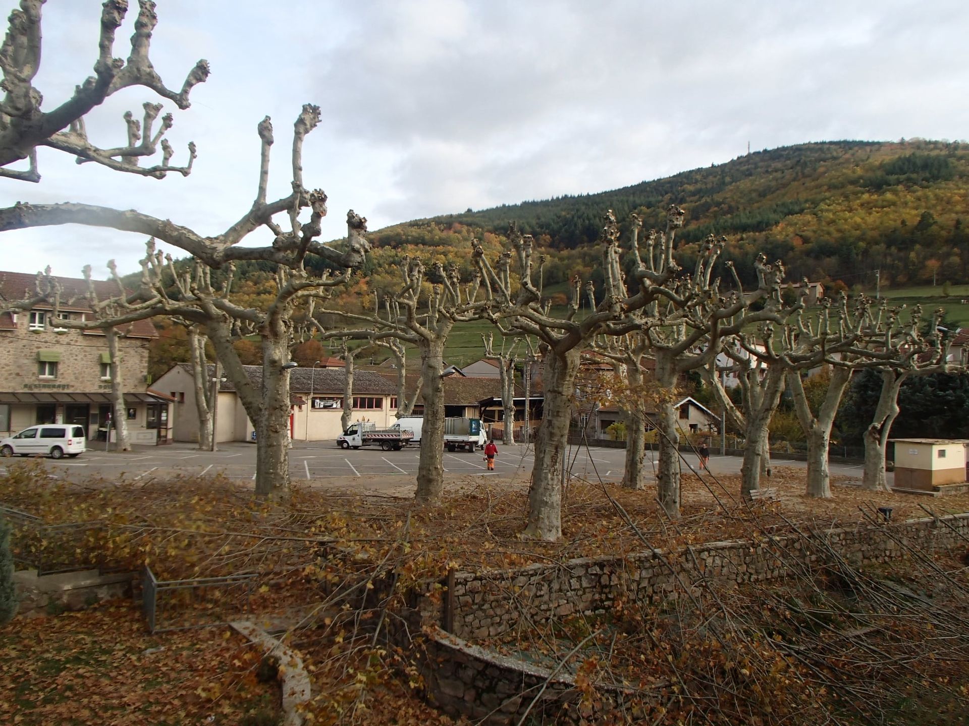 Des arbres aux branches taillées bordent un parking près des bâtiments et d'une montagne sous un ciel nuageux.