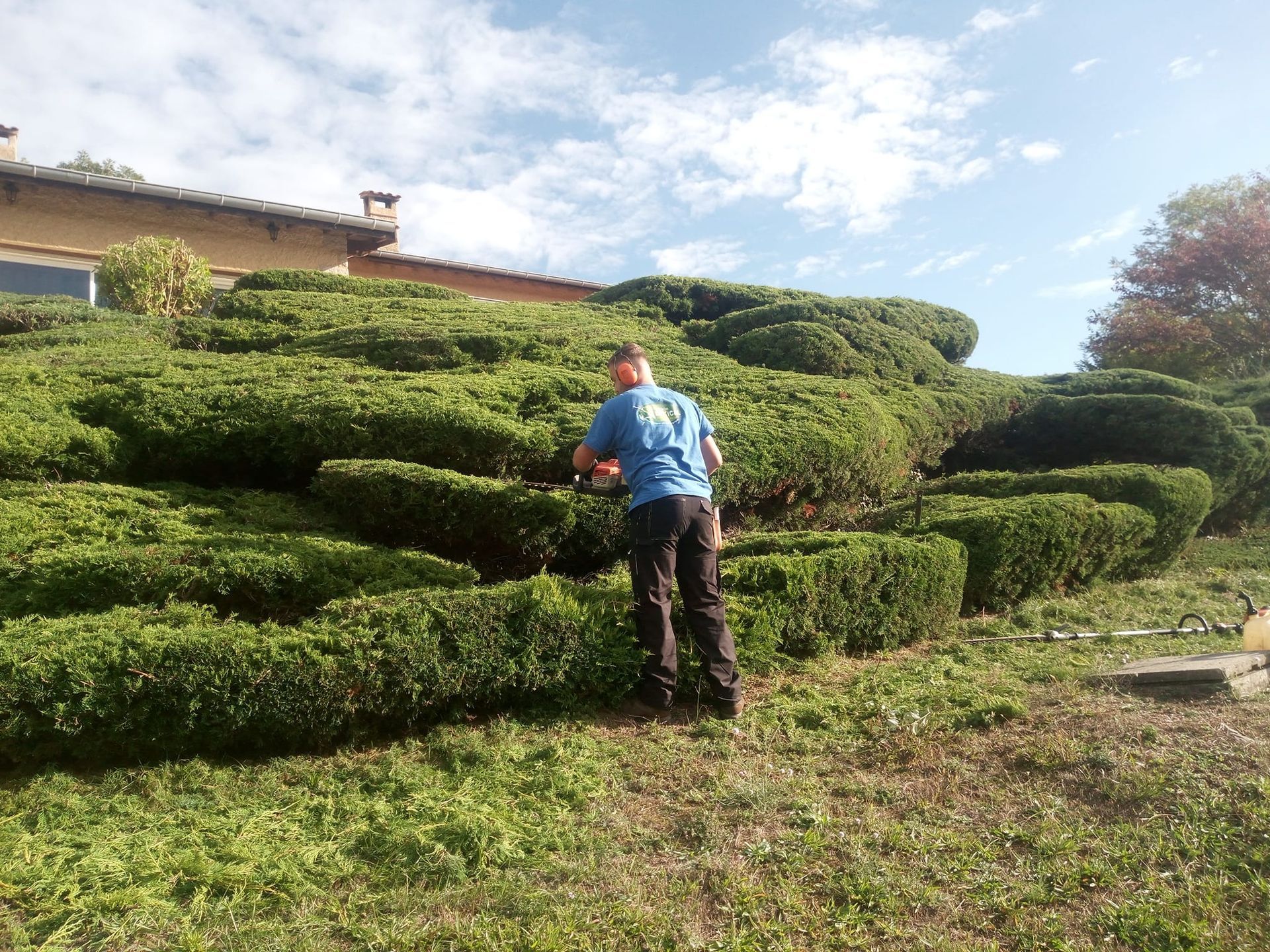 Un homme taille des buissons sur une colline, une maison se dressant en arrière-plan, par une journée ensoleillée.