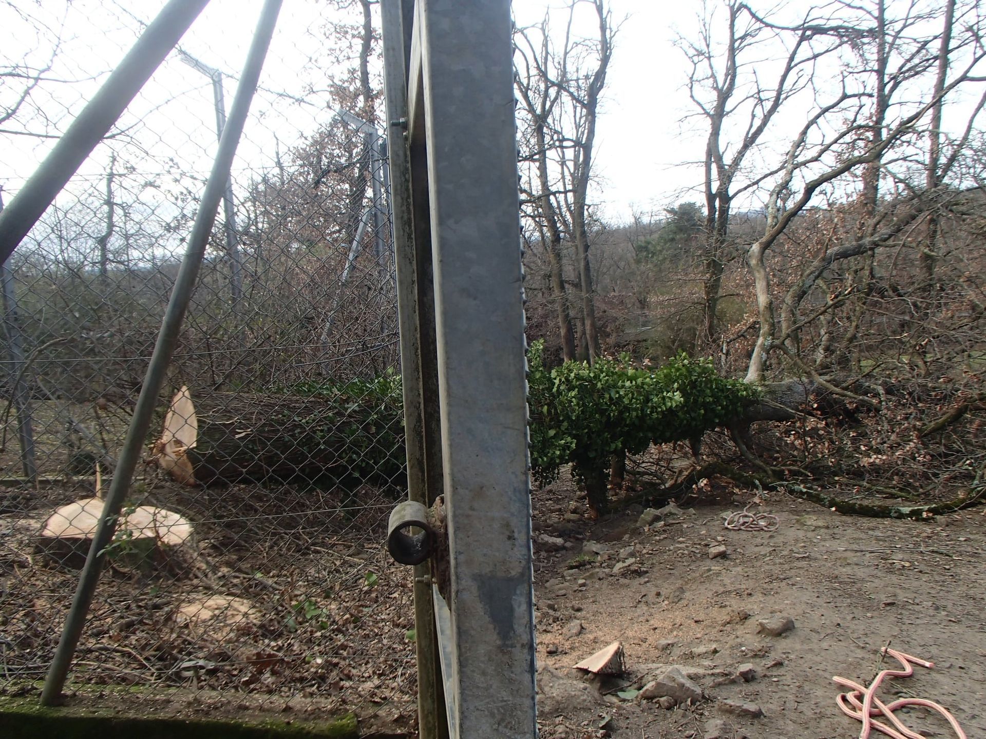 Clôture, arbre tombé et feuillage dans une zone boisée. Poteau métallique gris au premier plan.