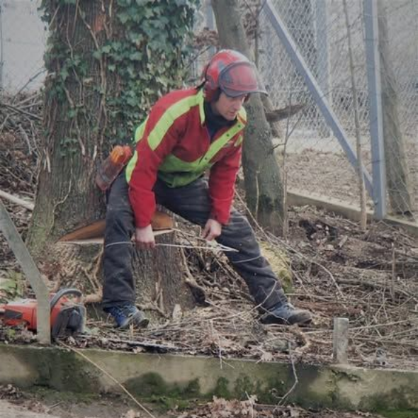 Arboriste, portant un équipement de protection, travaillant sur un tronc d'arbre près d'une clôture ; à l'extérieur.