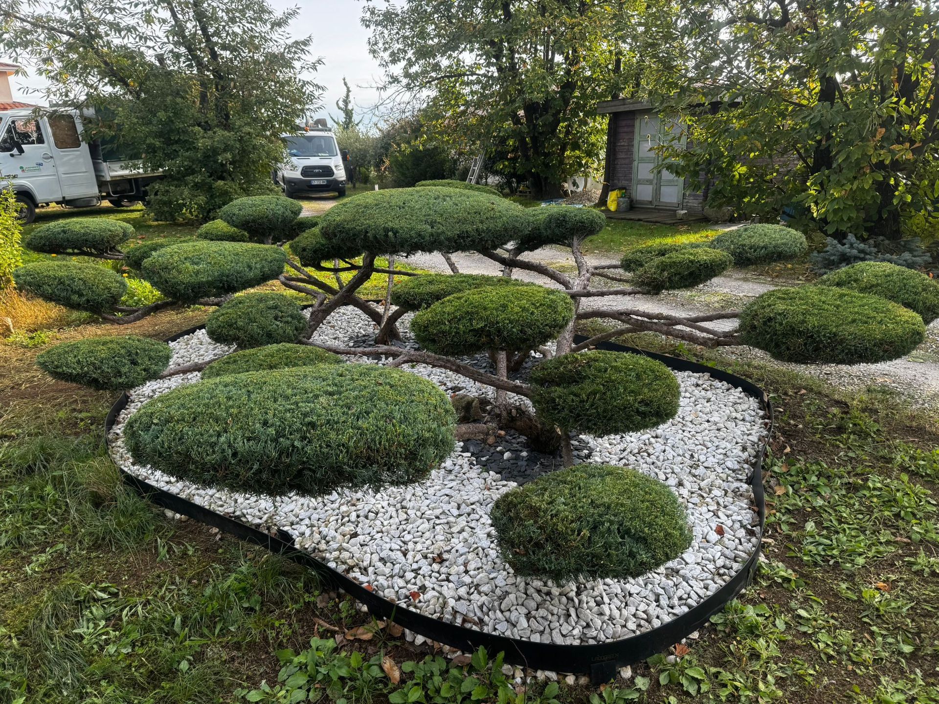 Jardin topiaire avec des buissons verts taillés sur du gravier blanc, bordure noire, arbres et véhicules en arrière-plan.