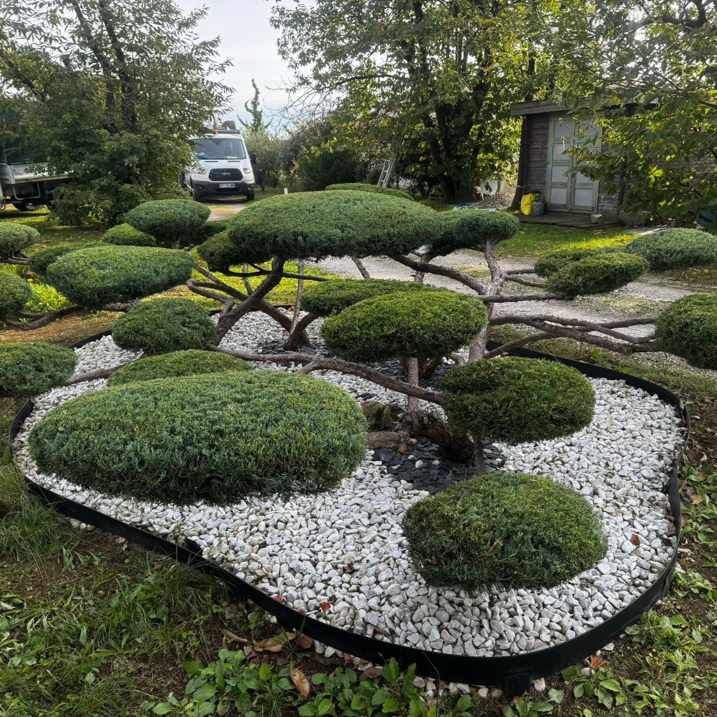 Jardin topiaire avec des buissons verts sculptés et des branches ligneuses apparentes, aménagé sur du gravier blanc.