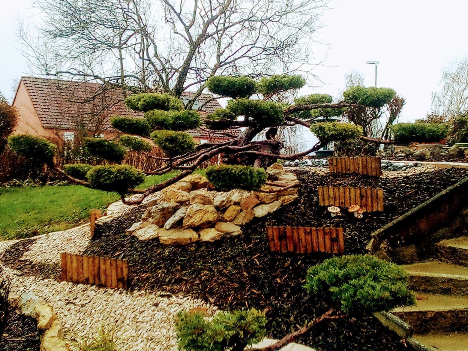 Jardin de style japonais avec des parterres étagés, des buissons taillés, des rochers et une petite maison en briques en arrière-plan.