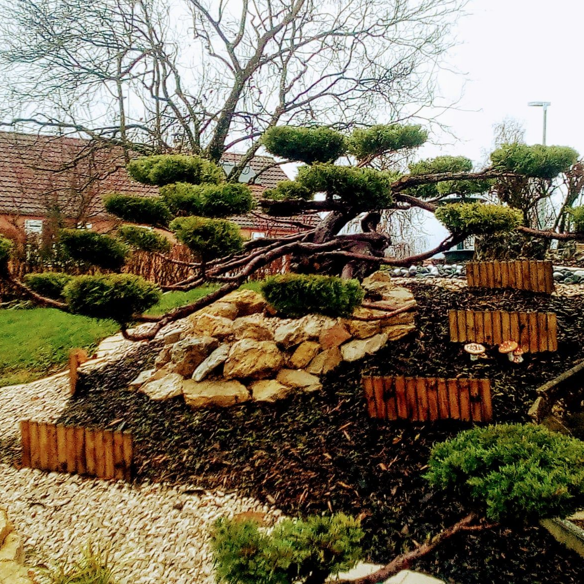 Bonsaï avec un parterre de jardin étagé recouvert de roches et de paillis, entouré d'un chemin de gravier.