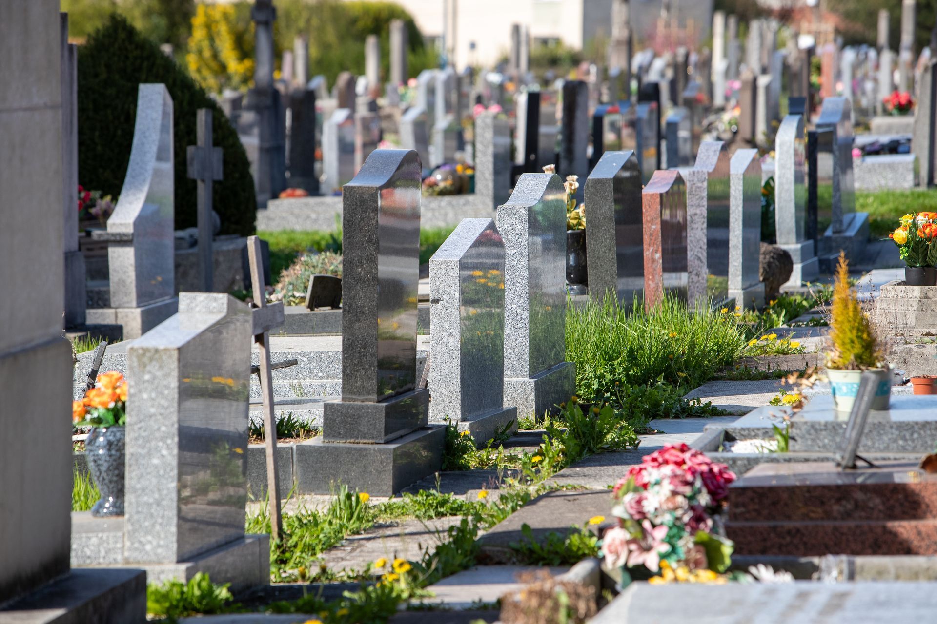 Plusieurs rangées de pierres tombales dans un cimetière, avec des fleurs et de la verdure.