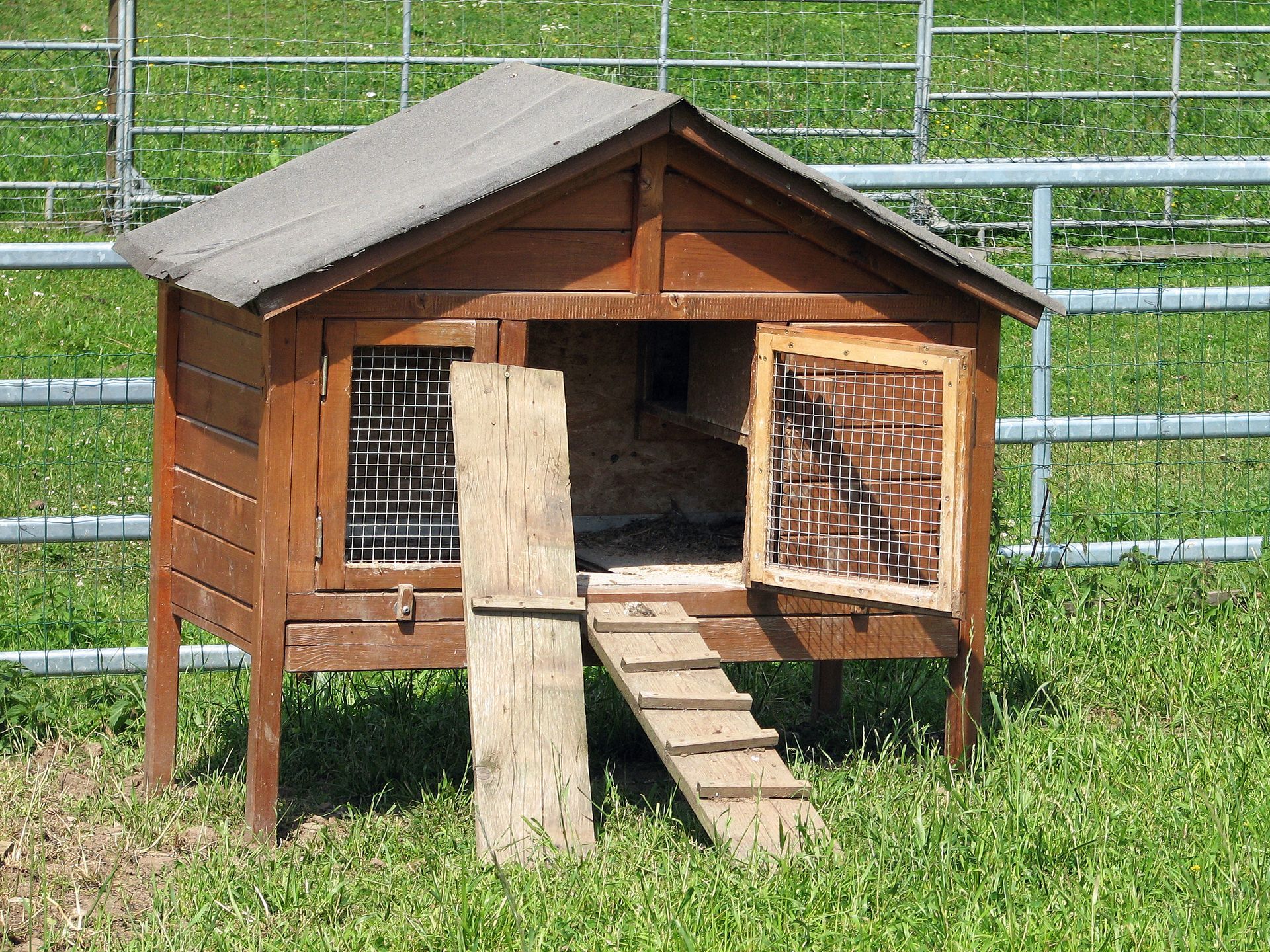 Poulailler en bois avec rampe, porte ouverte et fenêtres en grillage métallique dans un espace herbeux.