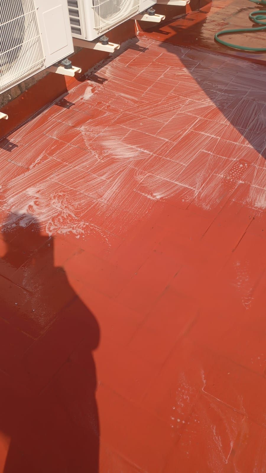 Una persona usa un limpiador de pisos en un interior soleado. El piso está pulido. Se ve una planta en maceta.