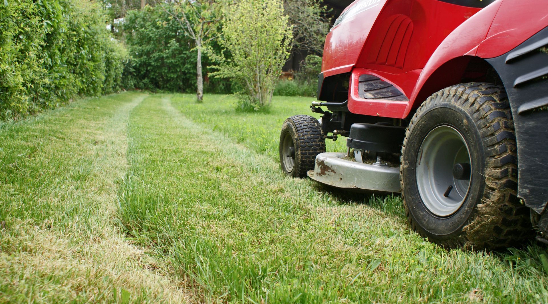 Tondeuse à gazon rouge coupant l'herbe d'un jardin, avec des arbres en arrière-plan.