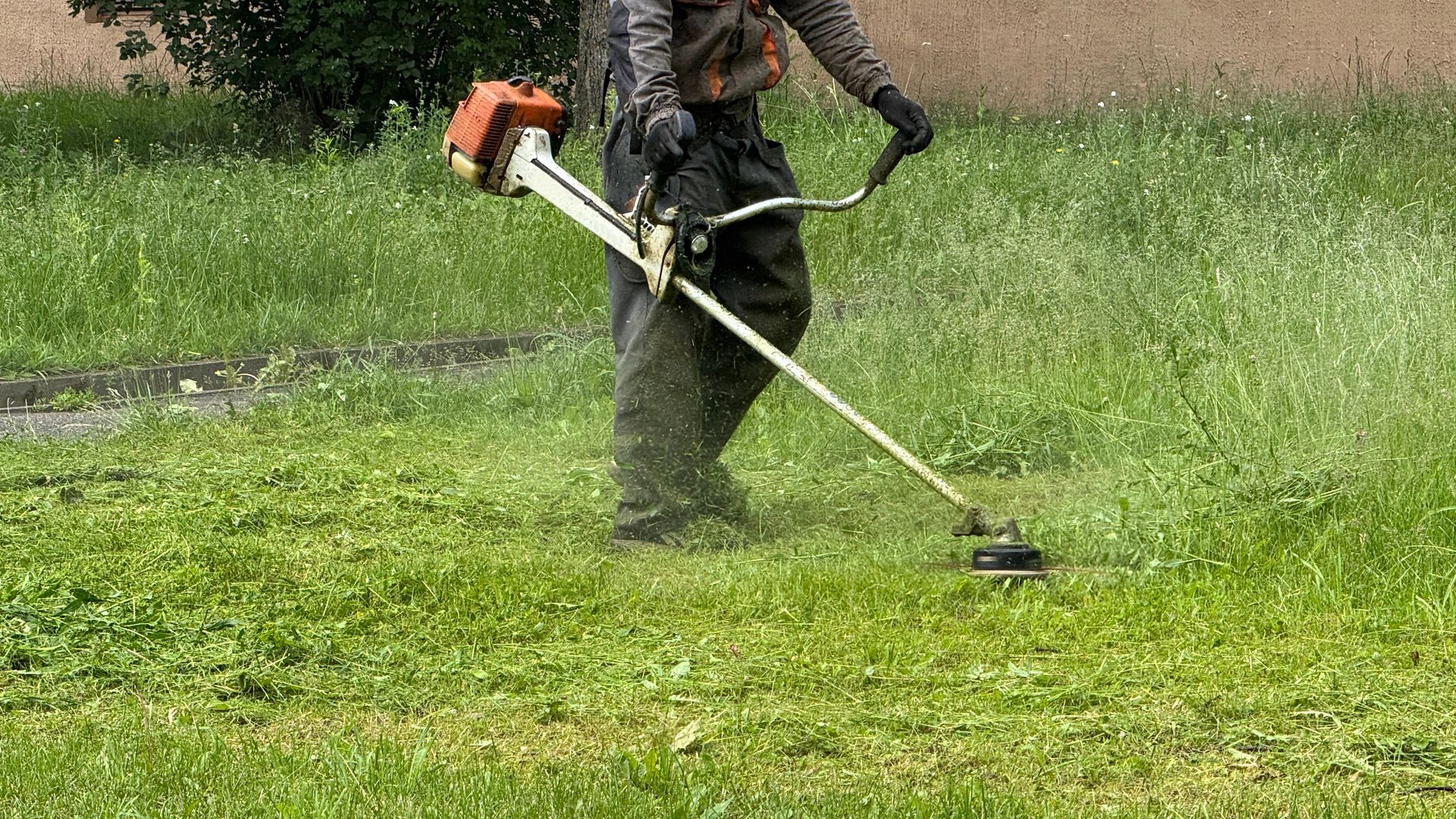 Une personne utilise une débroussailleuse à essence pour couper l'herbe dans un champ.