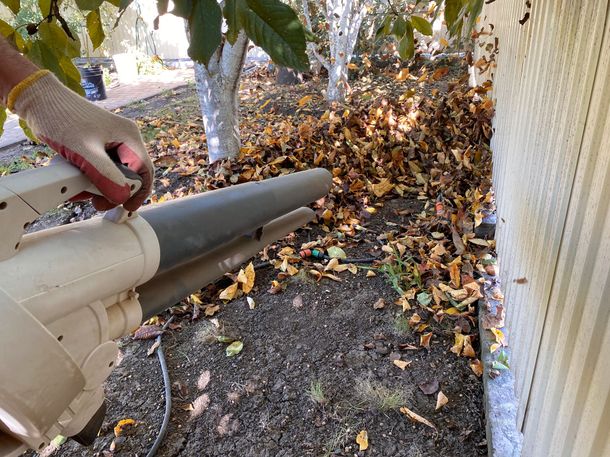 Une personne utilise un souffleur de feuilles pour dégager les feuilles mortes près d'une clôture blanche.