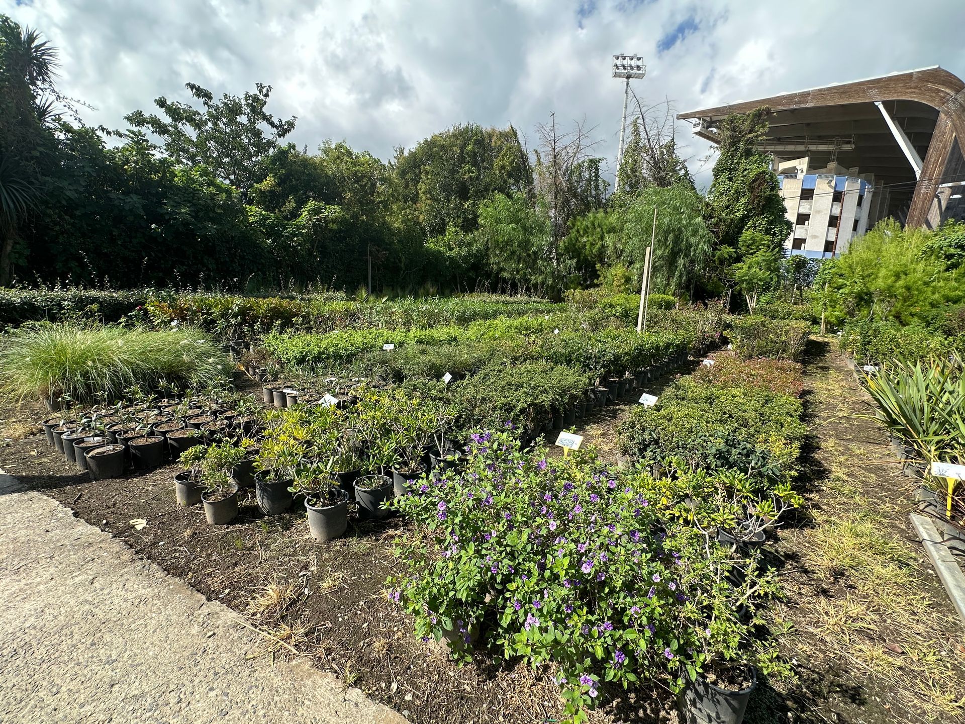 Pépinière avec grand choix de plante