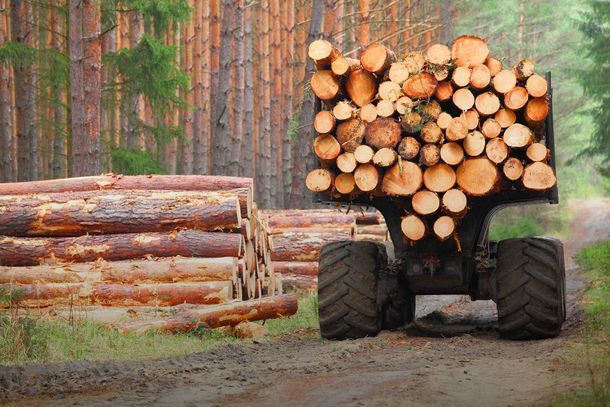 Kuljetus & Maansiirto Niskanen