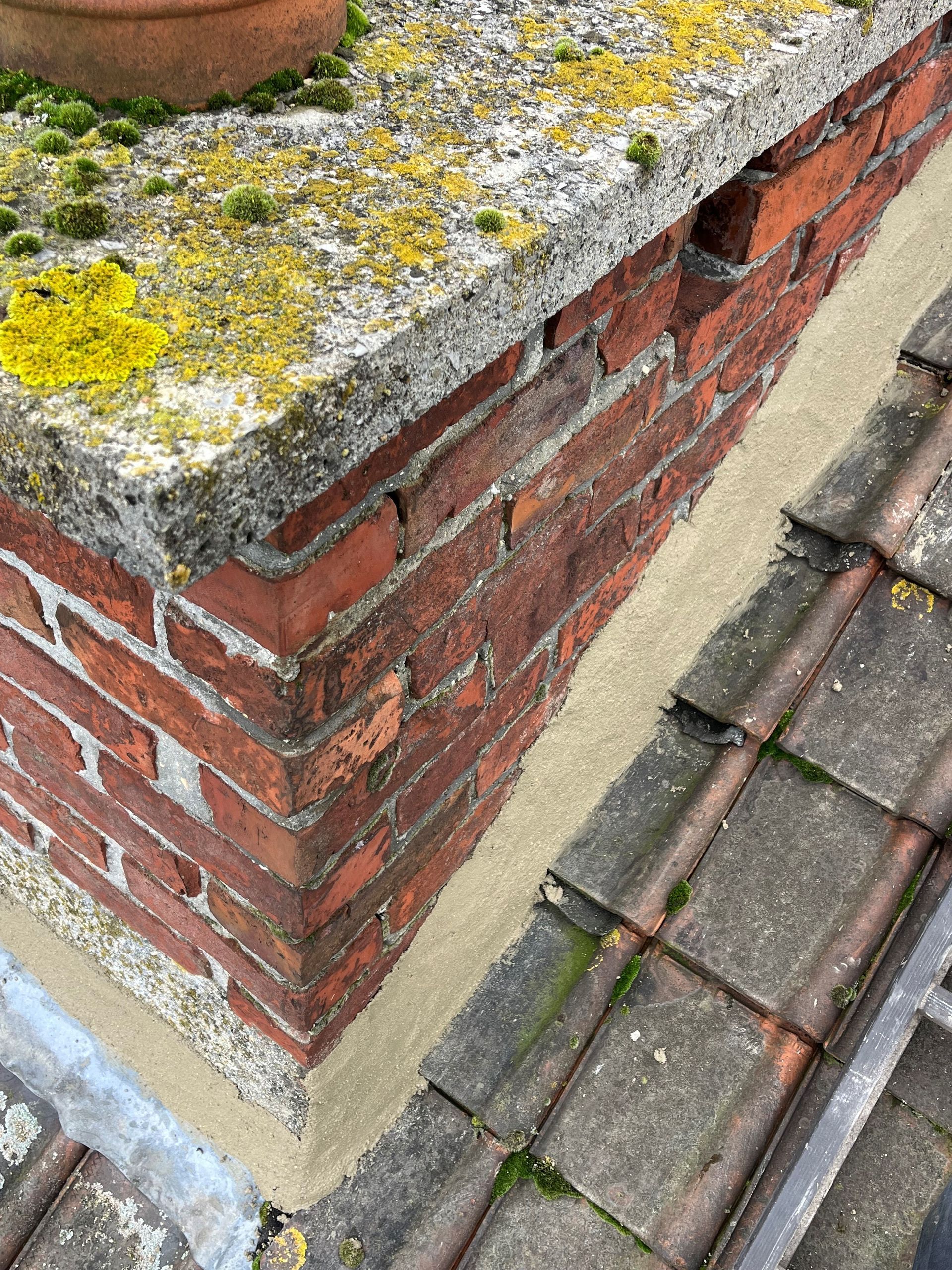 Nettoyage de toiture pour mousse