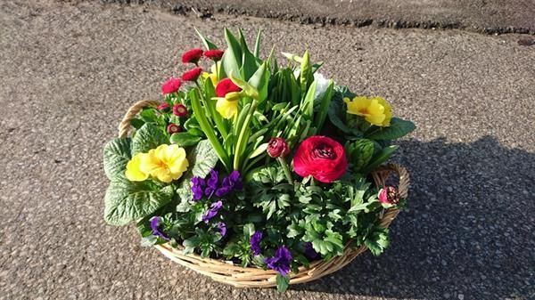 Auf dem Boden steht ein Korb voller Blumen und Pflanzen.