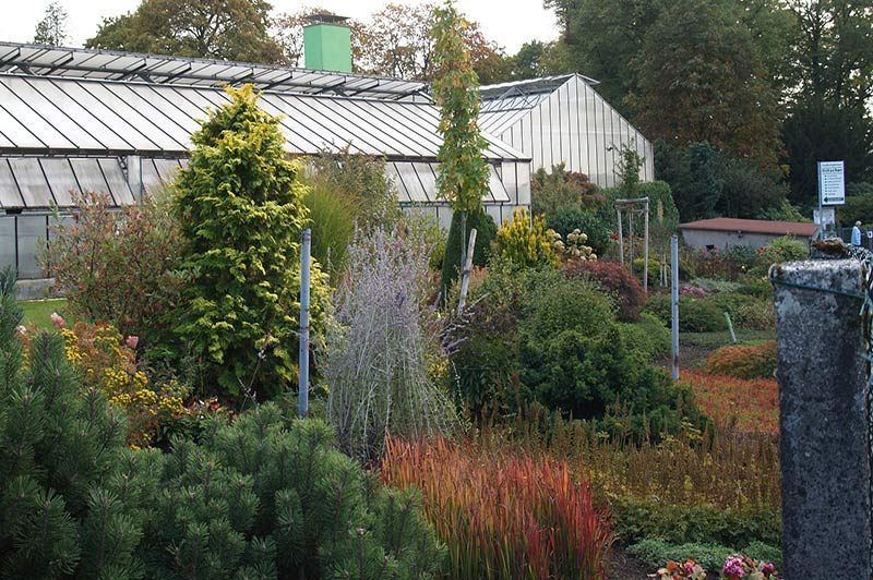 Ein Garten mit einem Gewächshaus im Hintergrund
