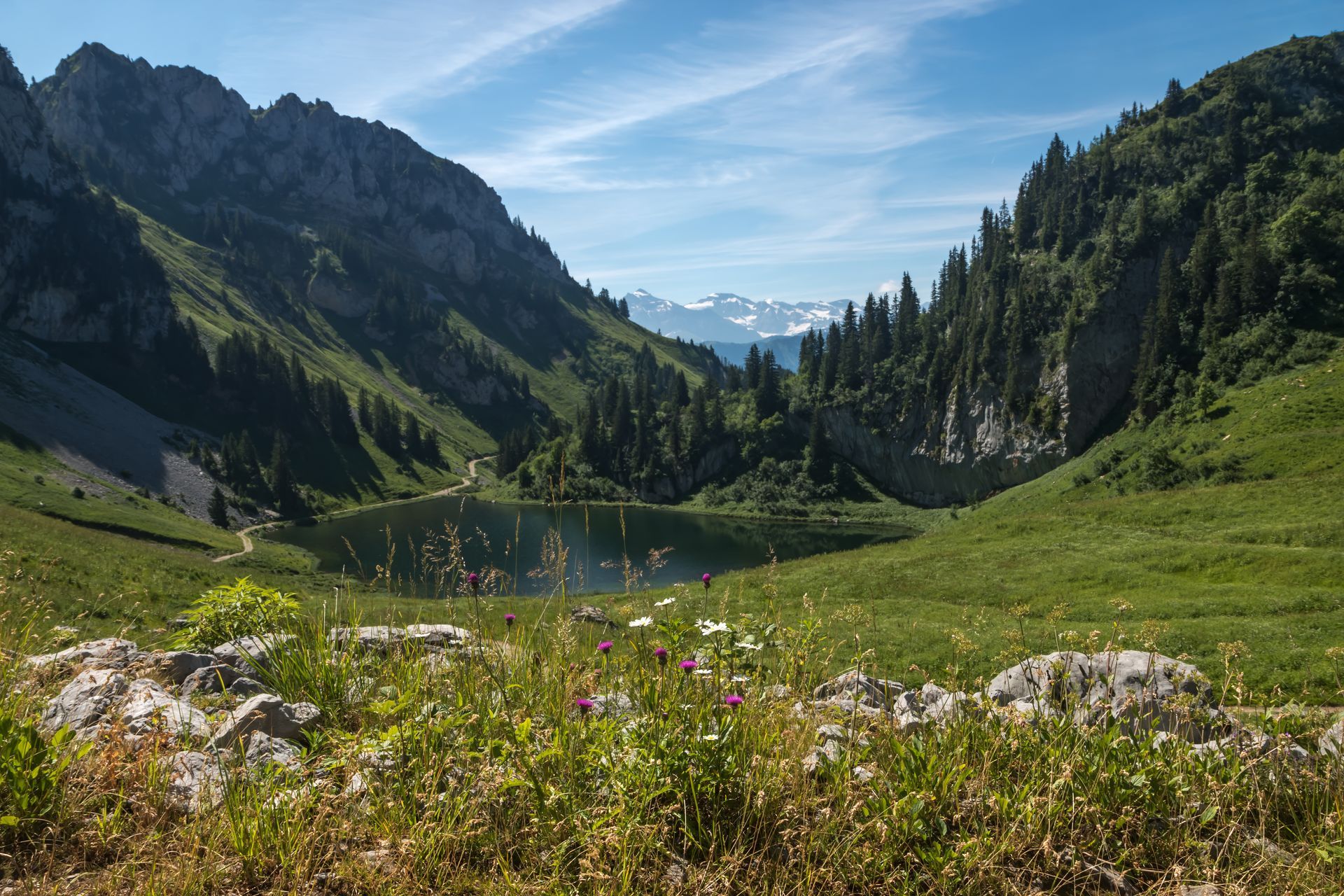 Paysage de Savoie