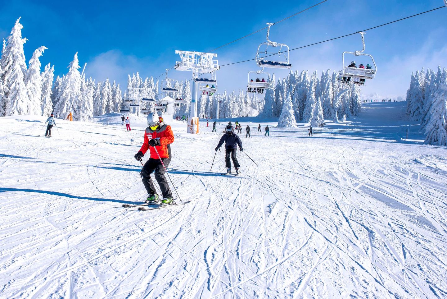 Piste de ski