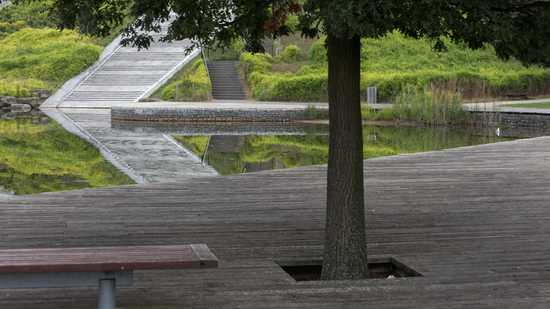 Lac du parc de La Courneuve avec au premier plan des arbres et bancs en contre-jour