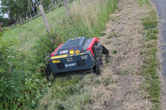 Une petite tondeuse robot rouge et noire coupe l'herbe le long d'une clôture en fil de fer dans un champ herbeux.