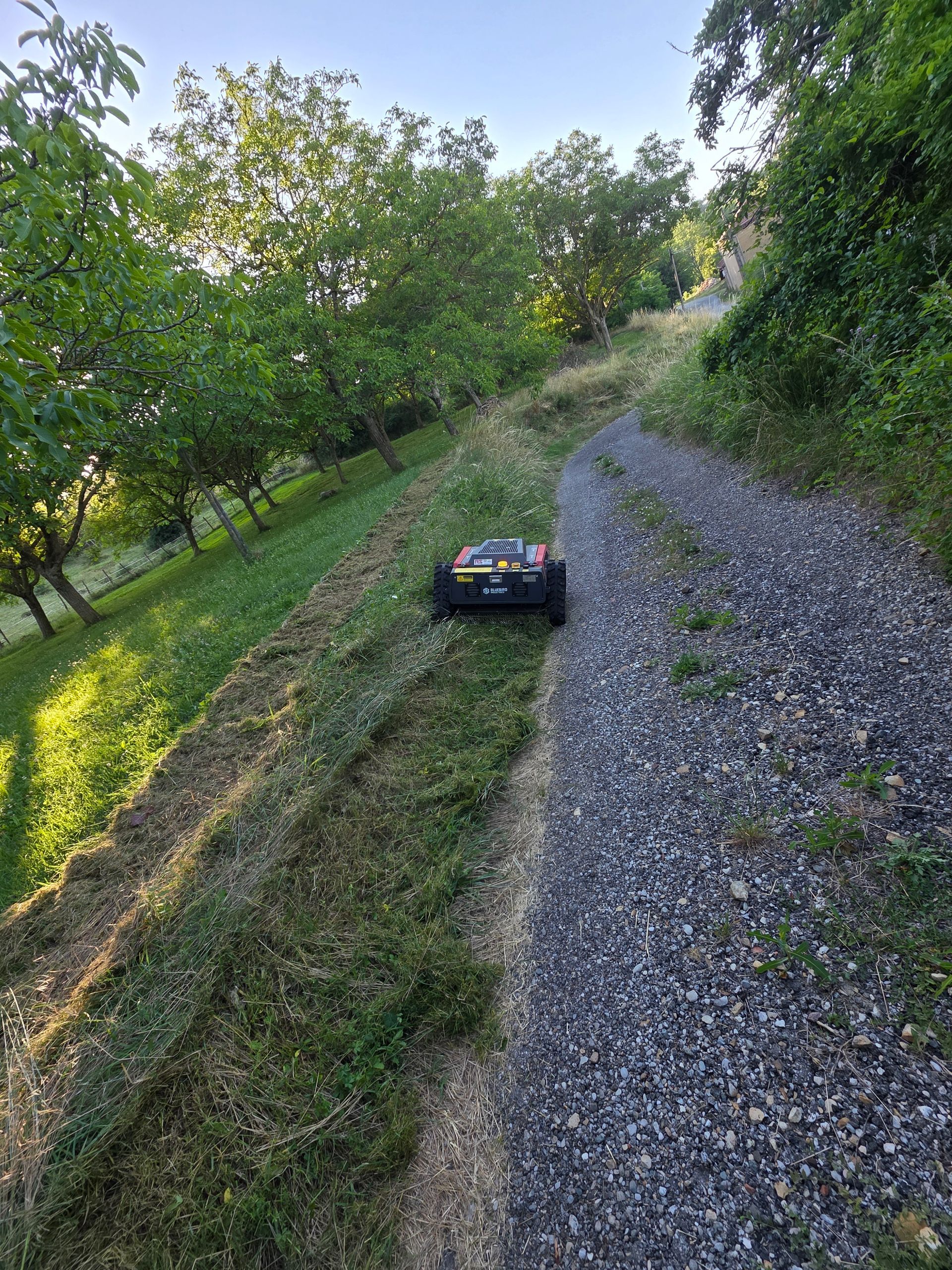 Valise noire sur un talus herbeux, au bord d'un chemin de gravier, dans une zone boisée.