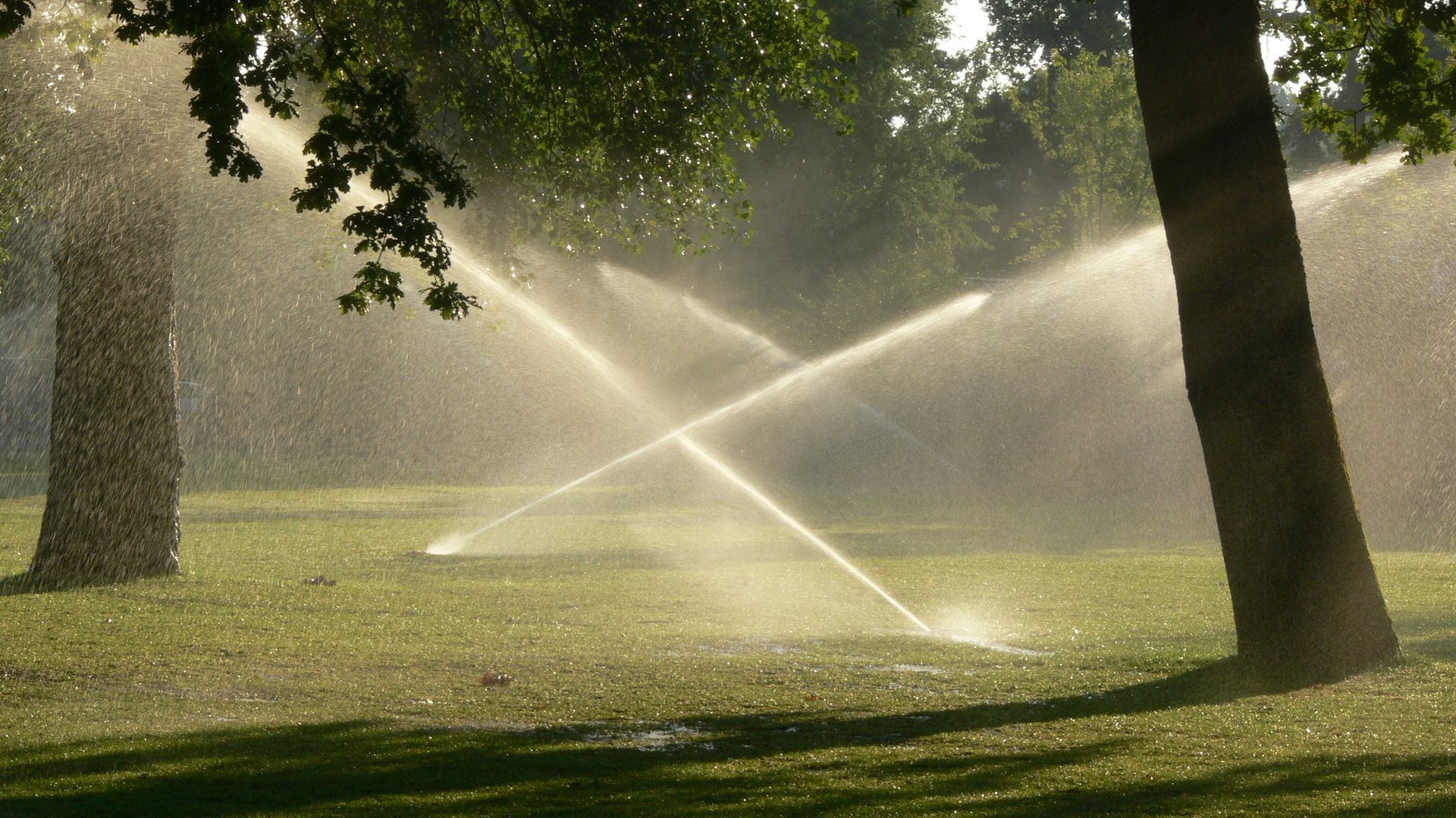 Des arroseurs projettent de l'eau sur un parc herbeux ensoleillé avec des arbres en arrière-plan.