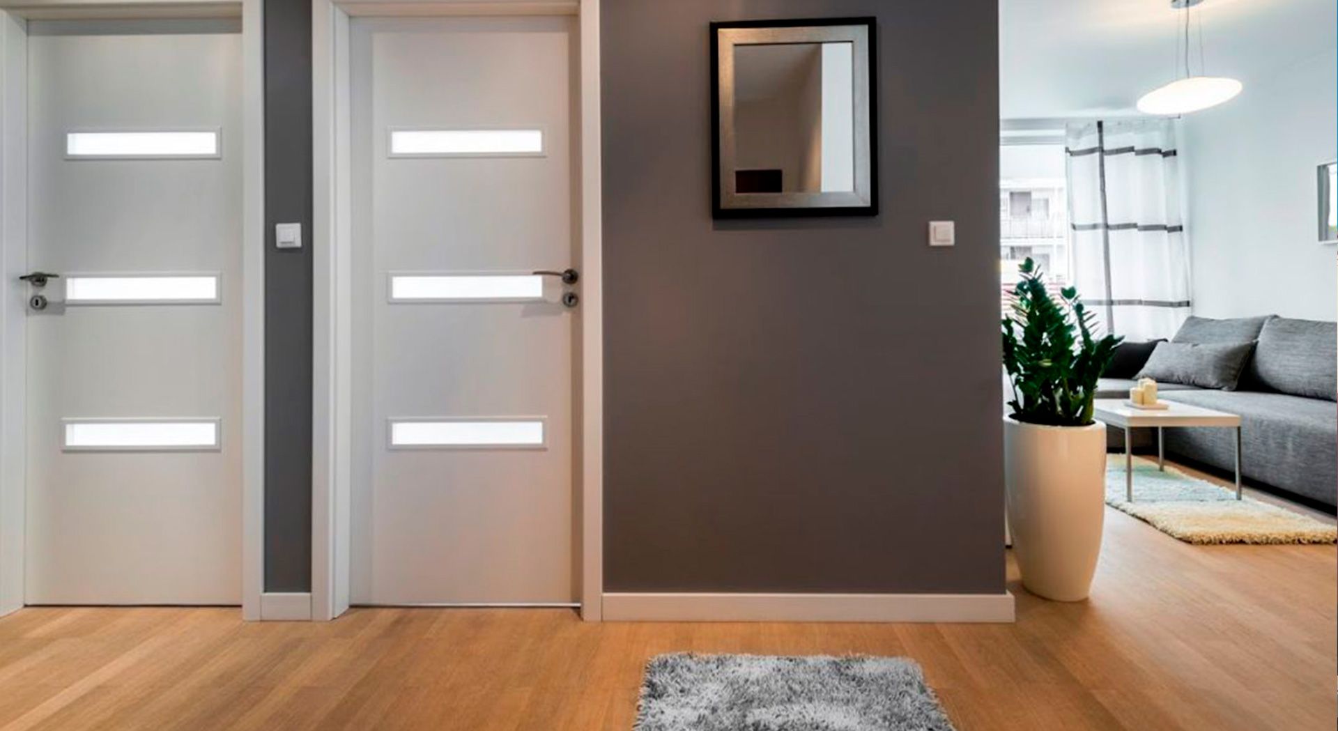 Pasillo moderno con dos puertas grises, cuadro en la pared, planta y una vista parcial de una luminosa sala de estar.