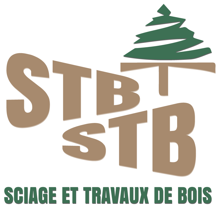 Logo STB en bois brun et vert avec pin stylisé, texte Sciage et travaux de bois