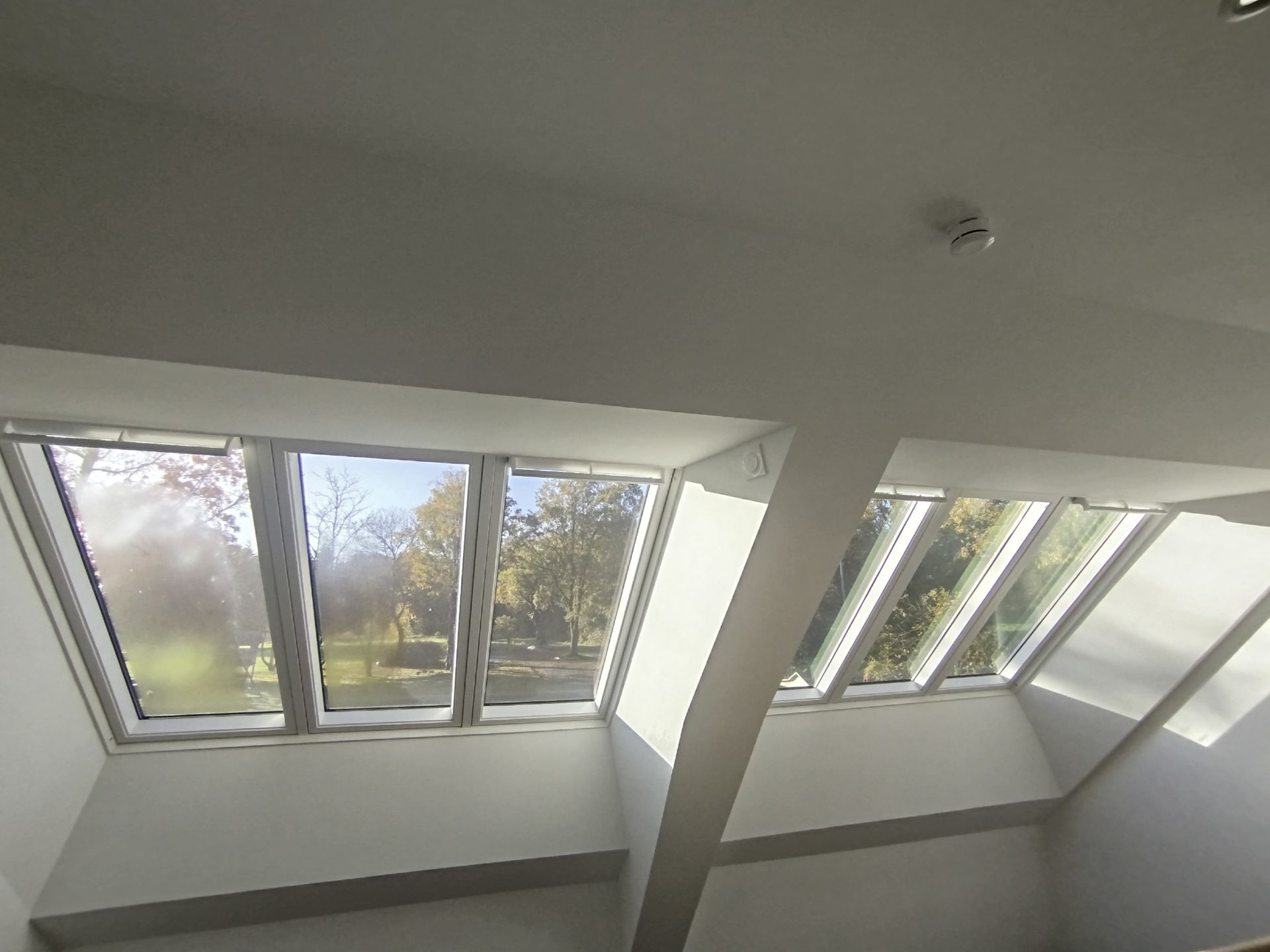 Deux fenêtres de toit inclinées dans une pièce blanche, avec vue sur les arbres à l'extérieur.