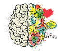Ilustraci&oacute;n de un cerebro partido por la mitad: el lado izquierdo gris, el lado derecho colorido 