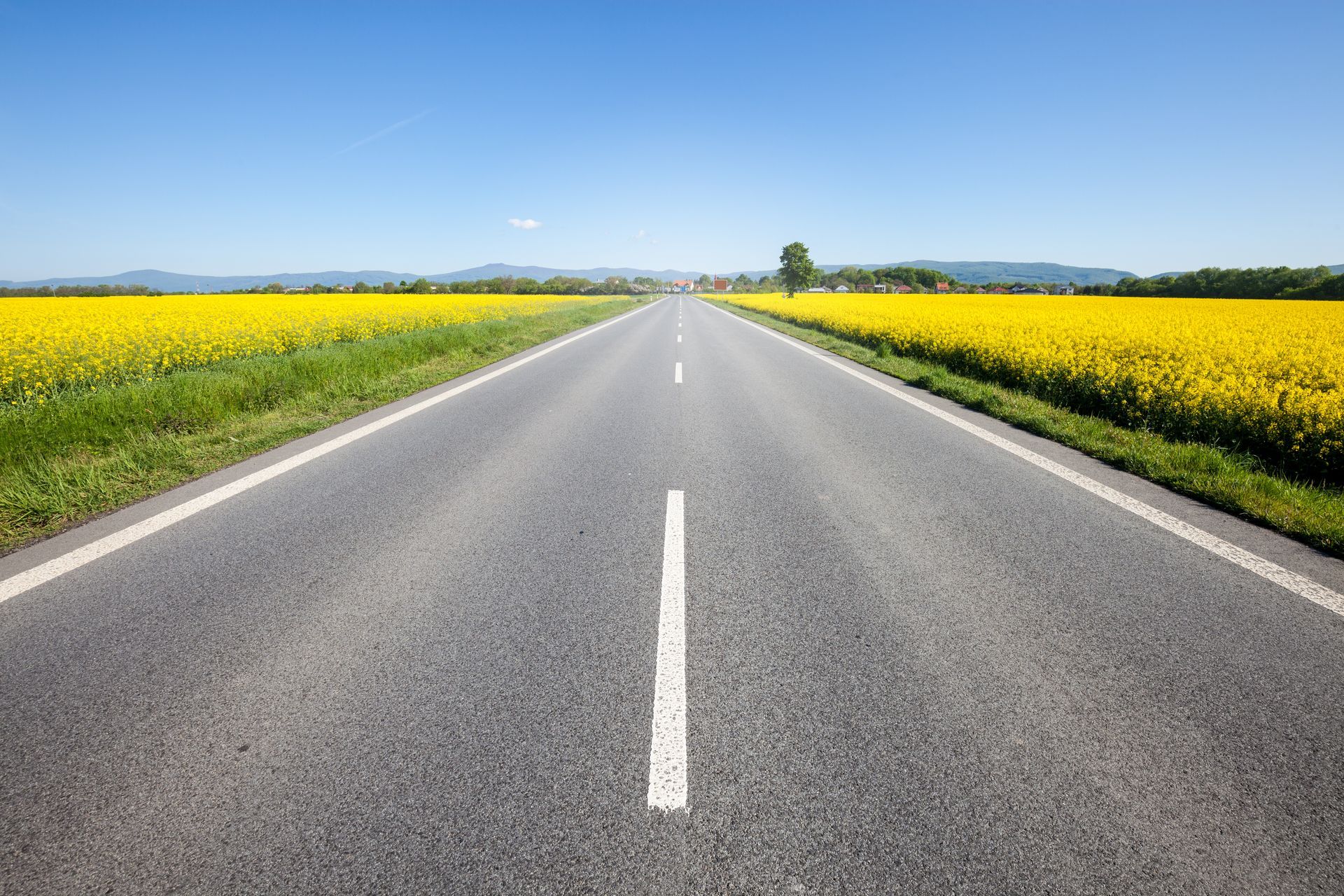 Une route avec des champs autour.
