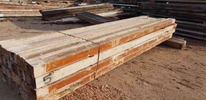 Una fotografía en blanco y negro de una persona mayor sosteniendo una pequeña flor floreciente con ambas manos.