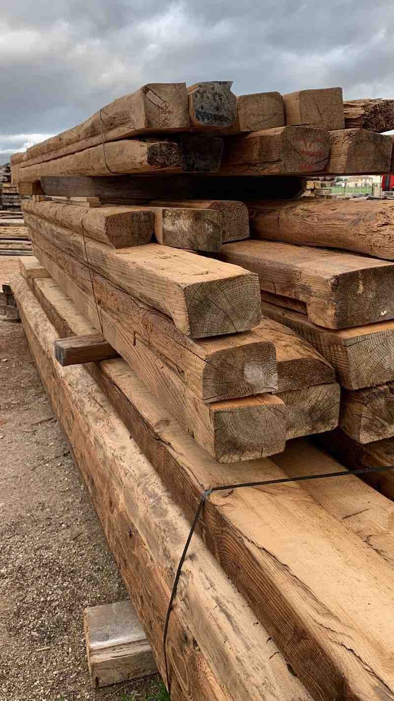 Una fotografía en blanco y negro de una persona mayor sosteniendo una pequeña flor floreciente con ambas manos.