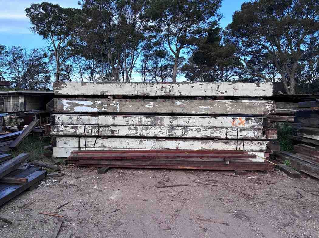 Una fotografía en blanco y negro de una persona mayor sosteniendo una pequeña flor floreciente con ambas manos.