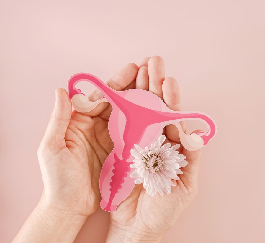 Mains tenant une découpe en papier rose représentant un utérus et des trompes de Fallope, avec une fleur sur fond rose.