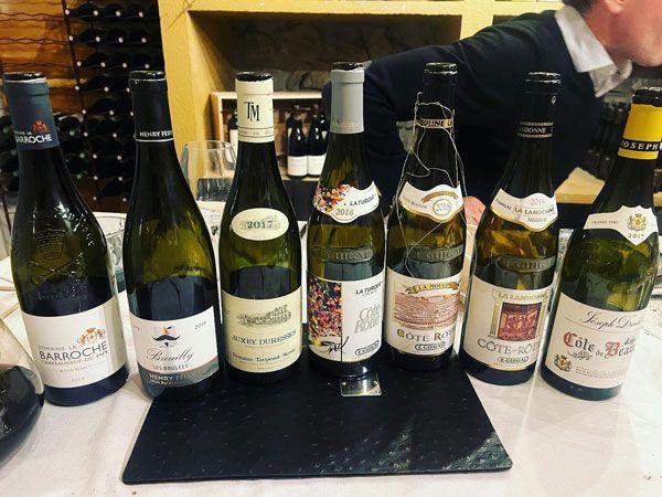 Plusieurs bouteilles de vin alignées