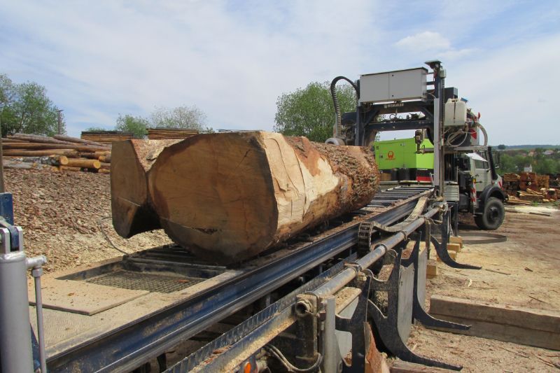 Baumstamm wird gesägt im Tribale Günter Mobiles Sägewerk
