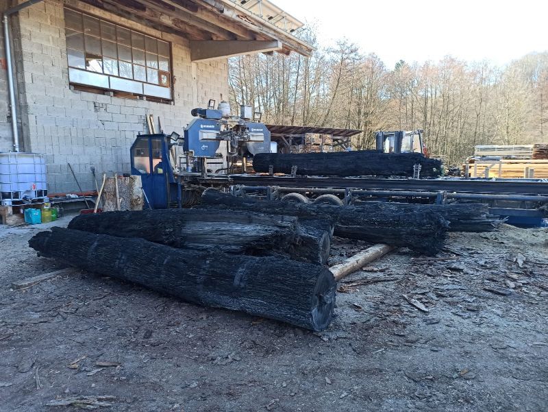 Sägewerk von Tribale Günter Mobiles Sägewerk