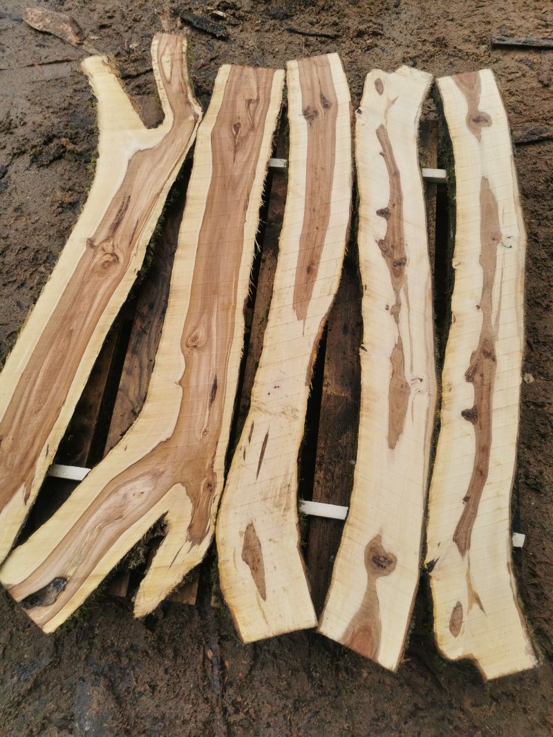 von Tribale Günter Mobiles Sägewerk geschnittenes Holz