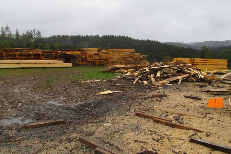 von Tribale Günter Mobiles Sägewerk gerodetes Feld