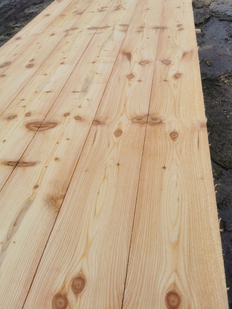 von Tribale Günter Mobiles Sägewerk geschnittenes Holz