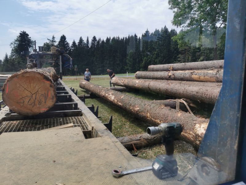 gefällte Baumstämme Tribale Günter Mobiles Sägewerk