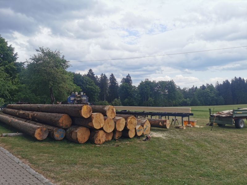 gefällte Baumstämme auf einer Wiese von Tribale Günter Mobiles Sägewerk