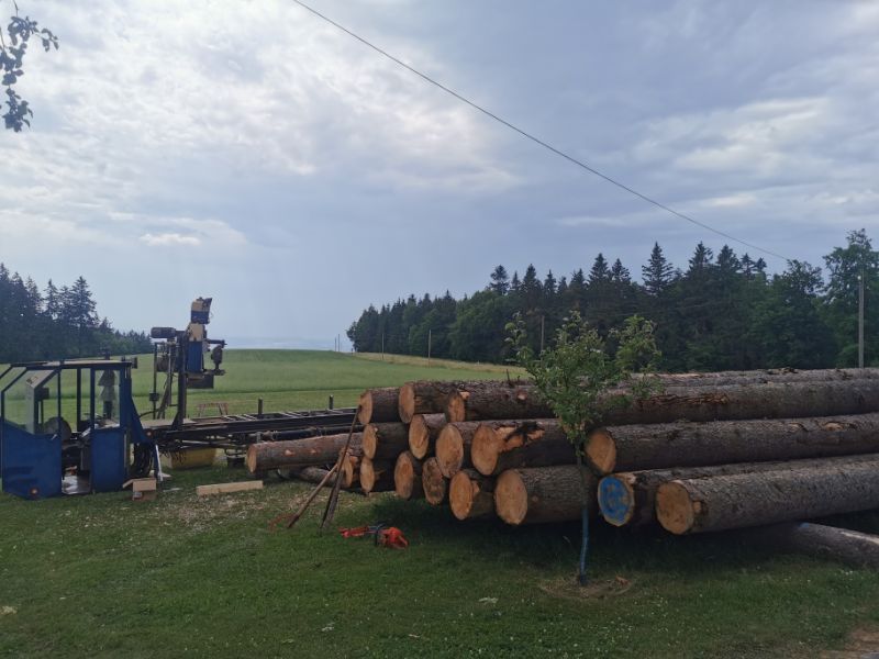 gefällte Baumstämme auf einer Wiese von Tribale Günter Mobiles Sägewerk