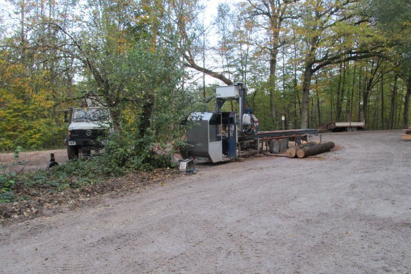 Tribale Günter Mobiles Sägewerk im Einsatz im Wald