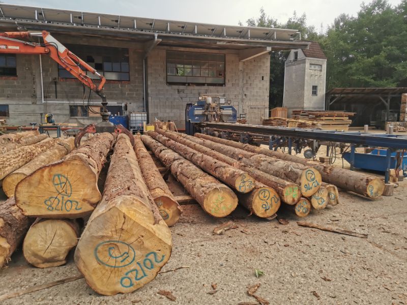 Kran hebt Baumstämme auf dem Gelände von Tribale Günter Mobiles Sägewerk