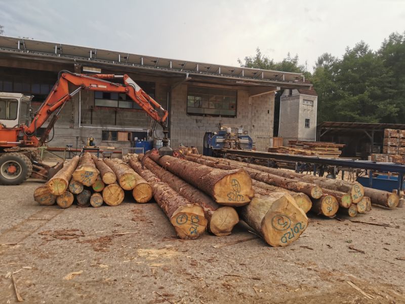 Kran hebt Baumstämme auf dem Gelände von Tribale Günter Mobiles Sägewerk
