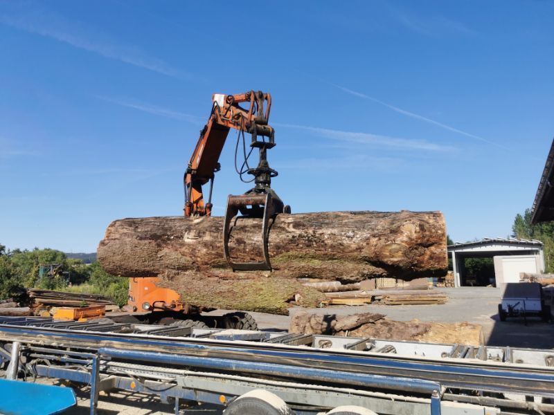 Kran von Tribale Günter Mobiles Sägewerk im Einsatz