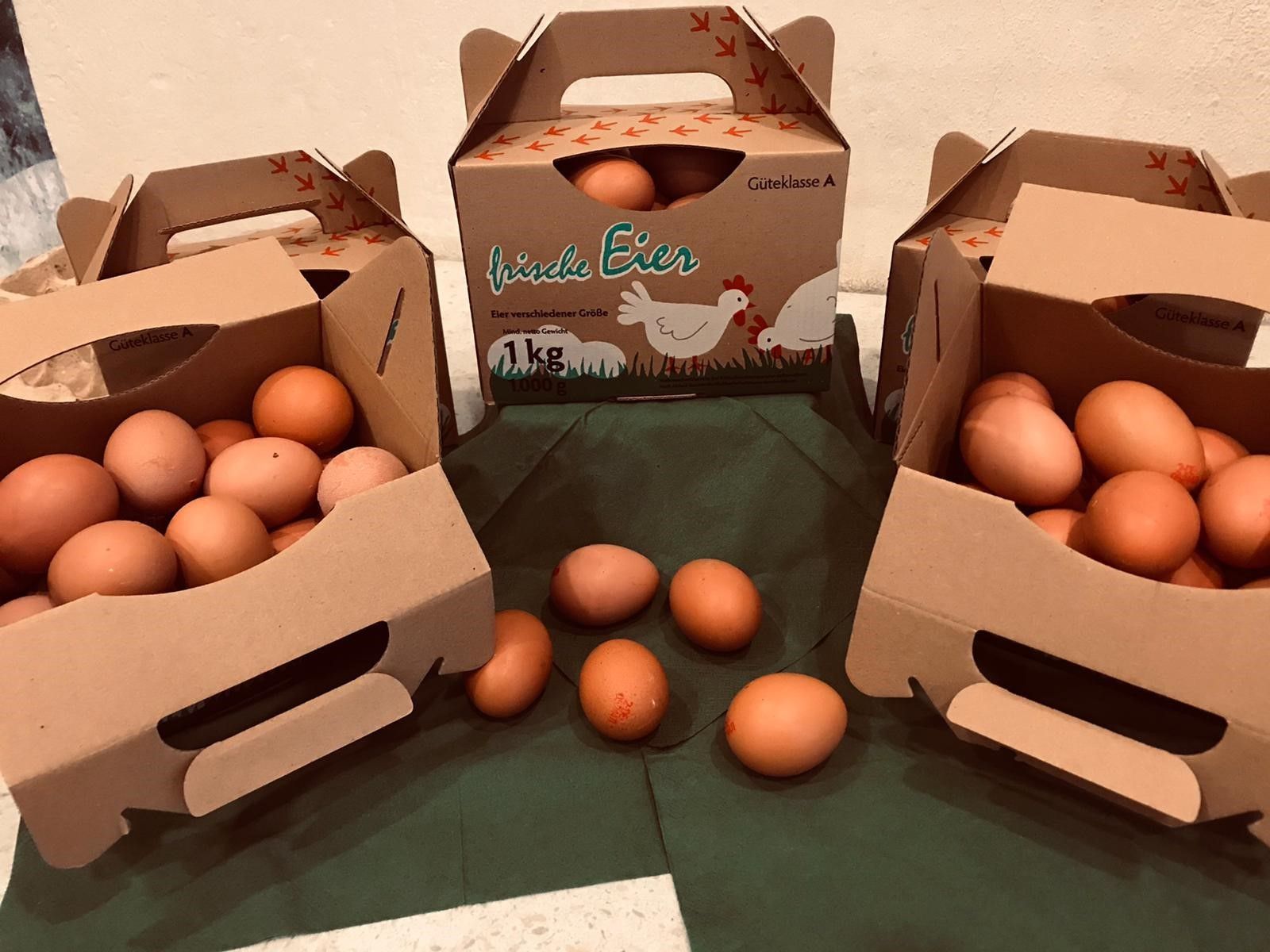 Auf einem Tisch stehen drei Schachteln mit braunen Eiern