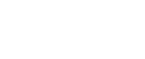 Maas Maritime Consultancy B.V. logo white