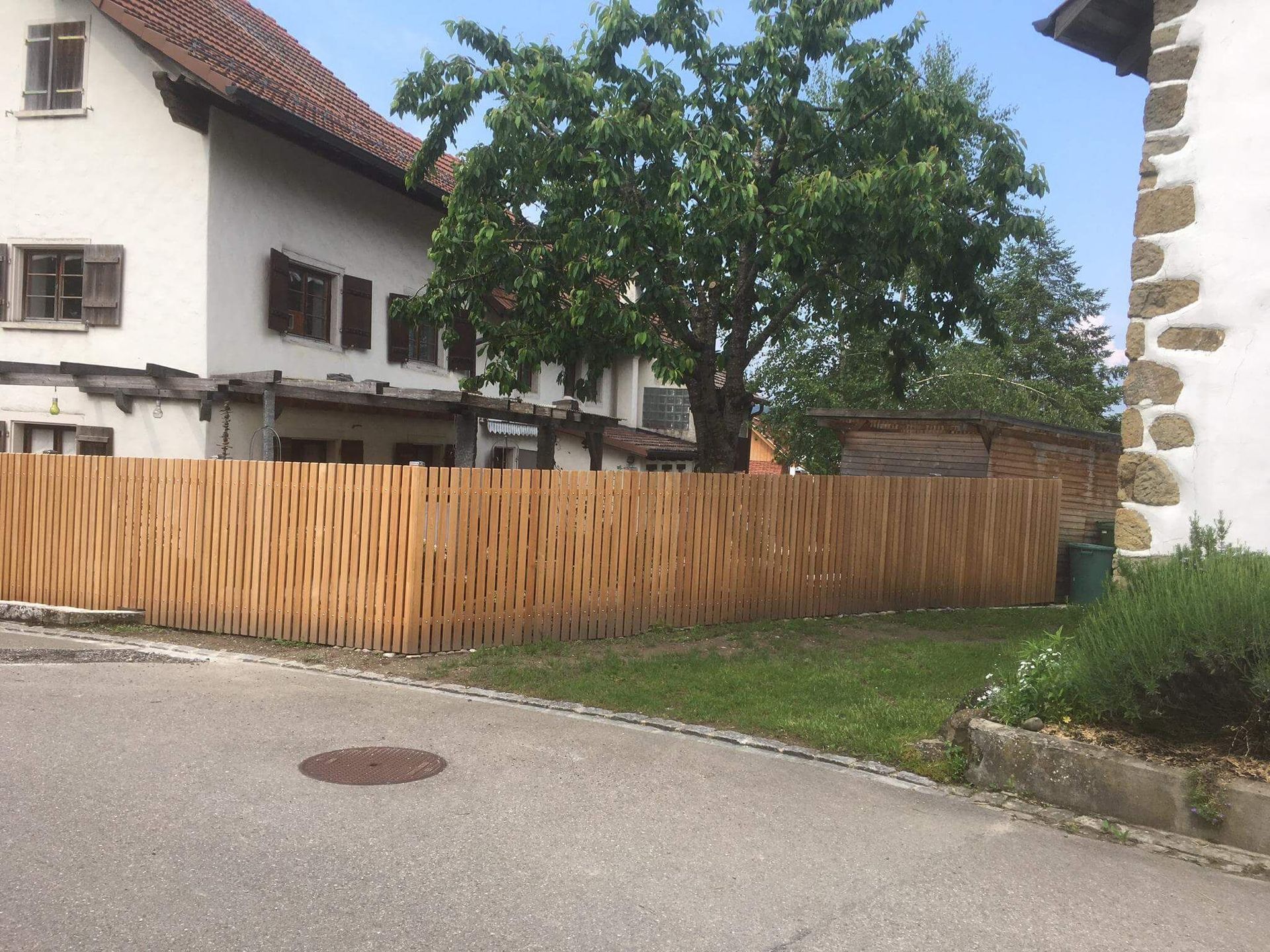 Fischer Gartenzaun mit grossem Baum